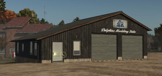 Dolphins Modding Stube v1.0