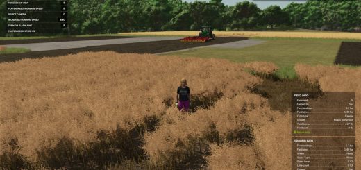 Field Detail Hud Infos v1.1