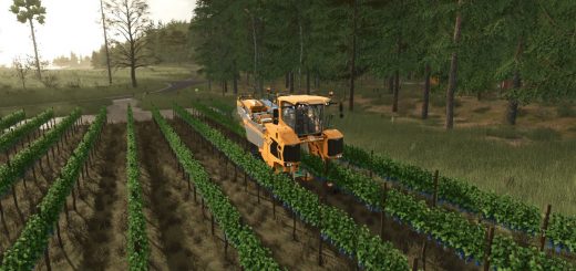GrapeProcessing And Grape Olives Vines v1.1