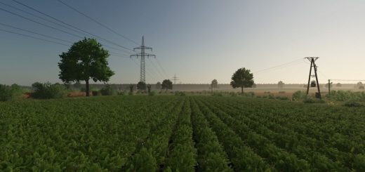 Kotowo v1.0