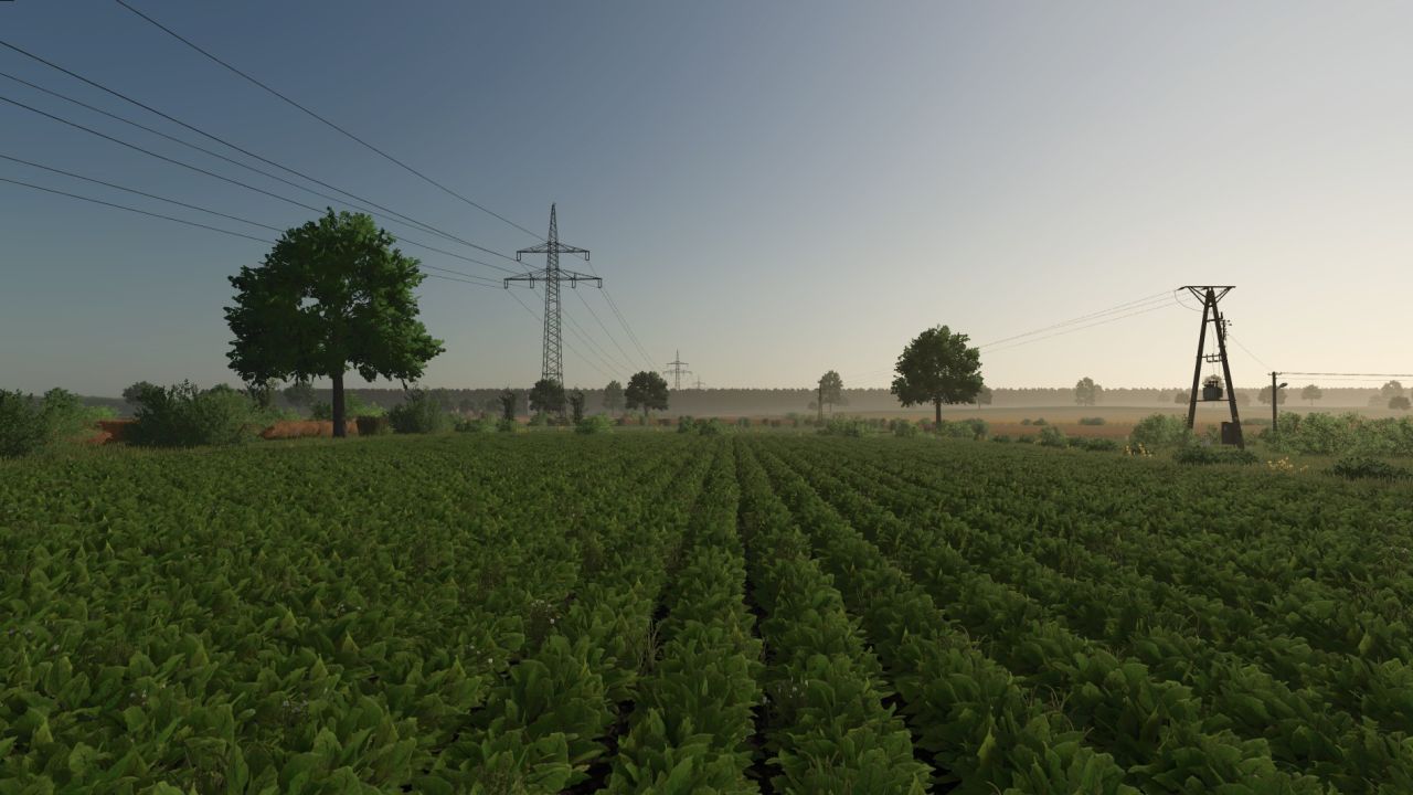 Kotowo v1.0