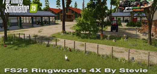 Ringwood’s 4X v1.0.0.6