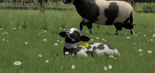 Sheep Breeds for RLRM BETA v1.0