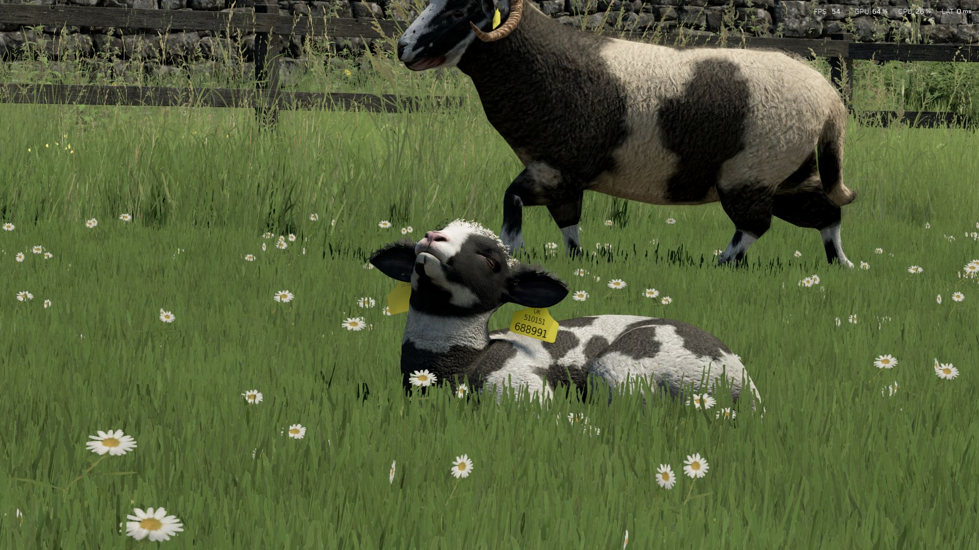 Sheep Breeds for RLRM BETA v1.0