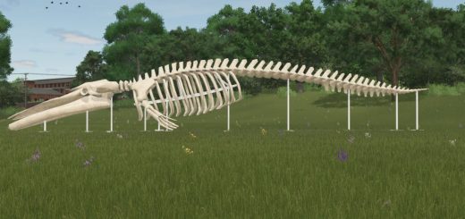 Whale Skeleton Sculpture v1.0