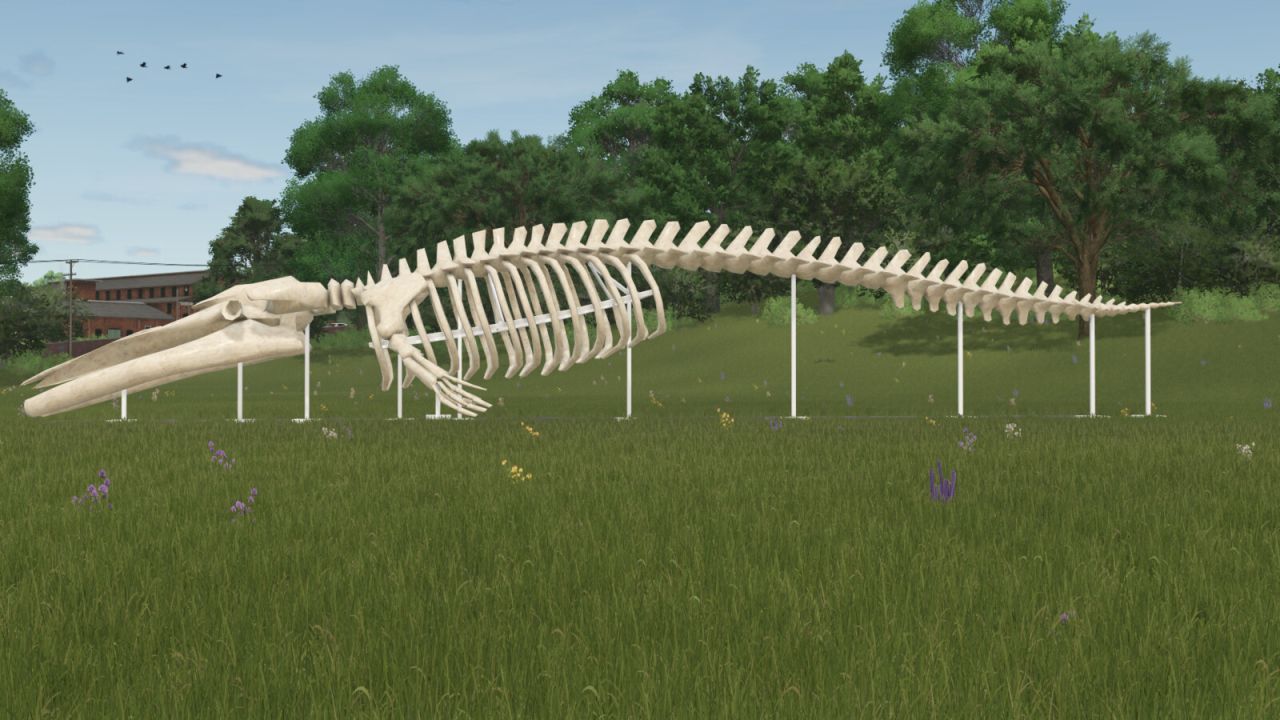 Whale Skeleton Sculpture v1.0