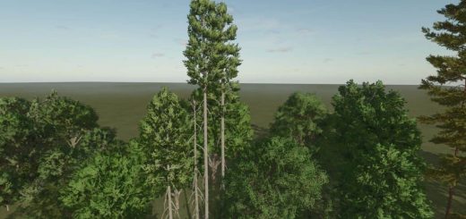 Base Trees v1.0