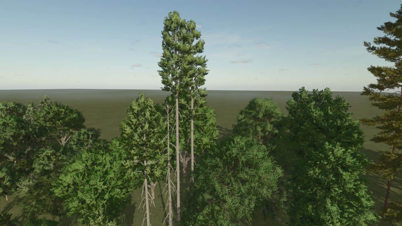 Base Trees v1.0