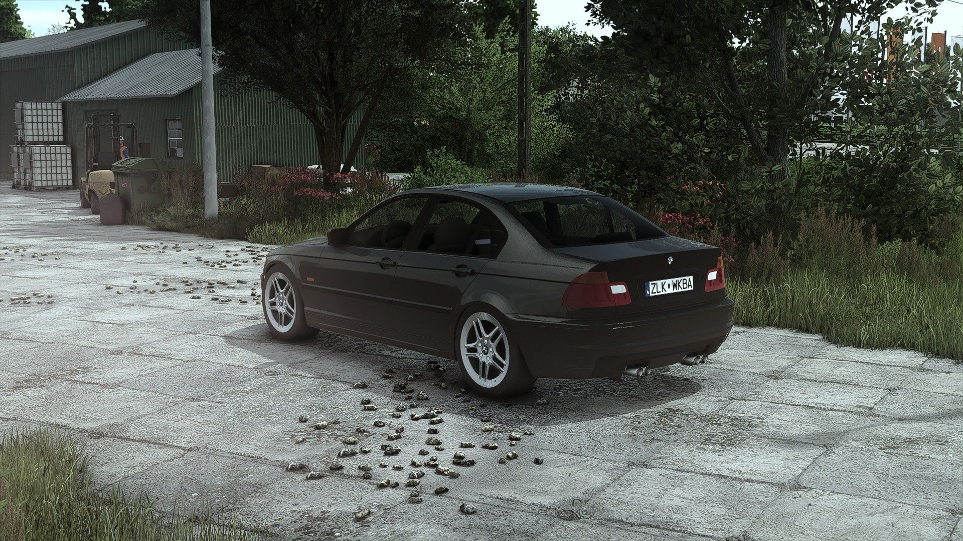 BMW E46 v1.0.0.1