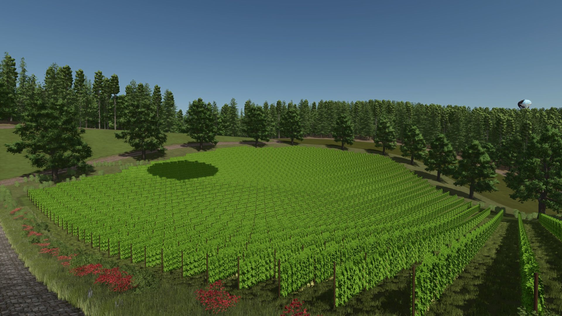 Chornberg – Swiss agriculture between mountains and valleys v1.0.0.1