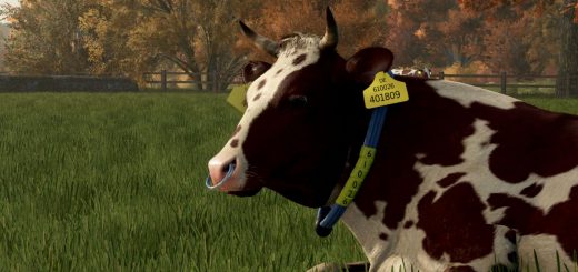 Cow Breeds (RLRM) v1.1