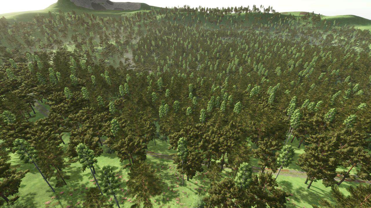 Forest Challenge v1.0.0.1