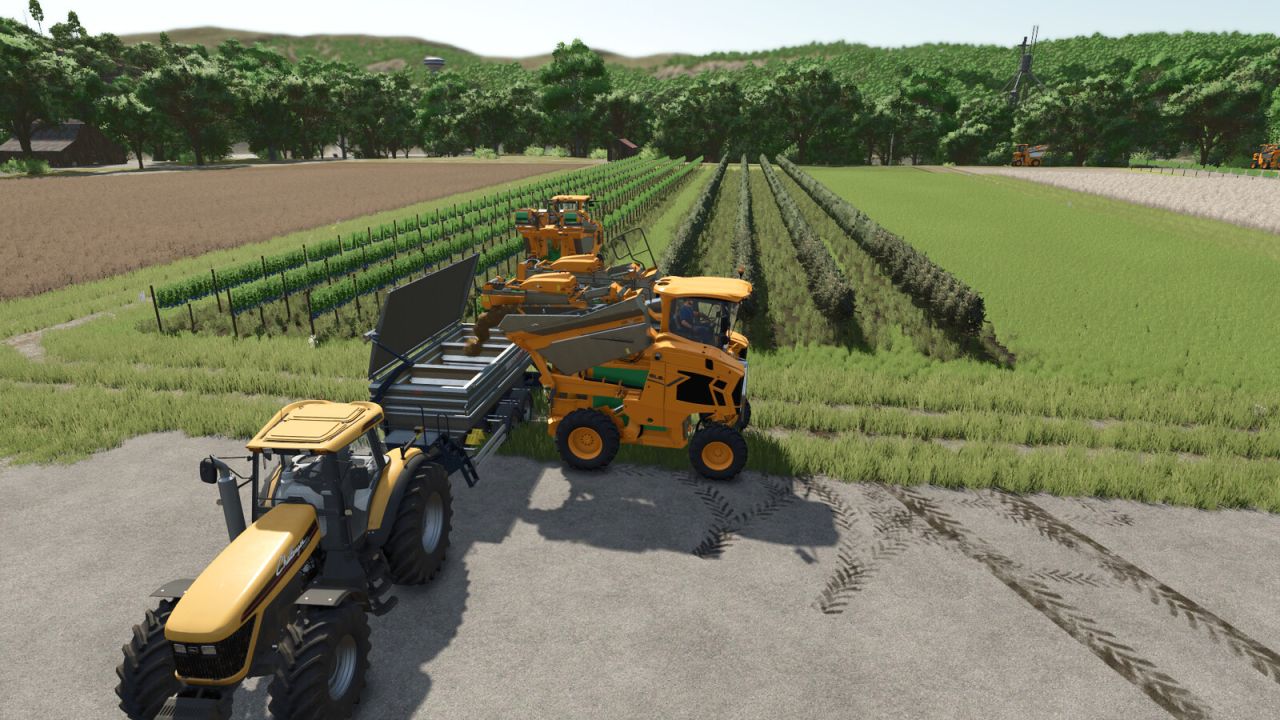 Grape And Olive Yield Settings v1.0