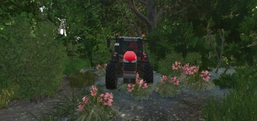 Massey Ferguson Torklu 5713 v1.1