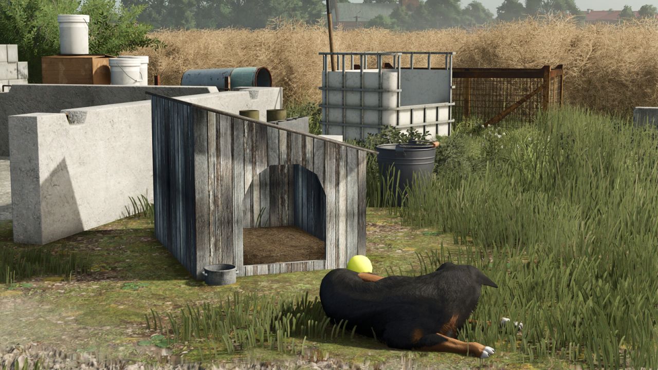 Pack Of Old Dog Houses v1.0