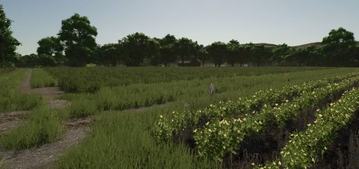Repopulate Fields v1.0