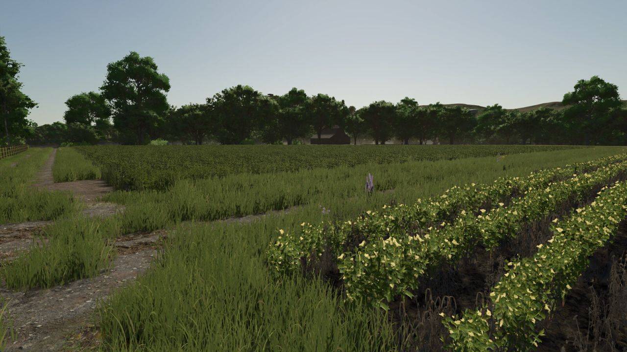 Repopulate Fields v1.0