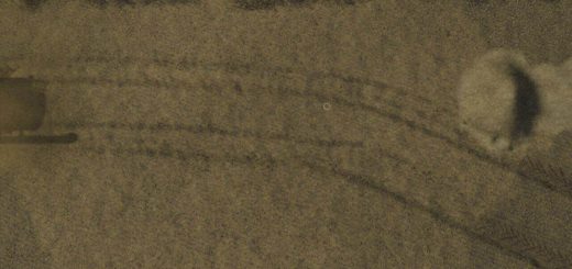 Straw and stubble texture v1.0
