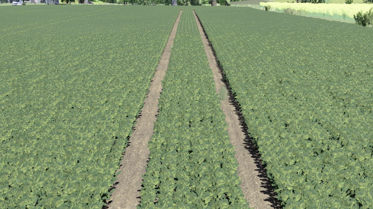 Thicker soy v1.0.0.1