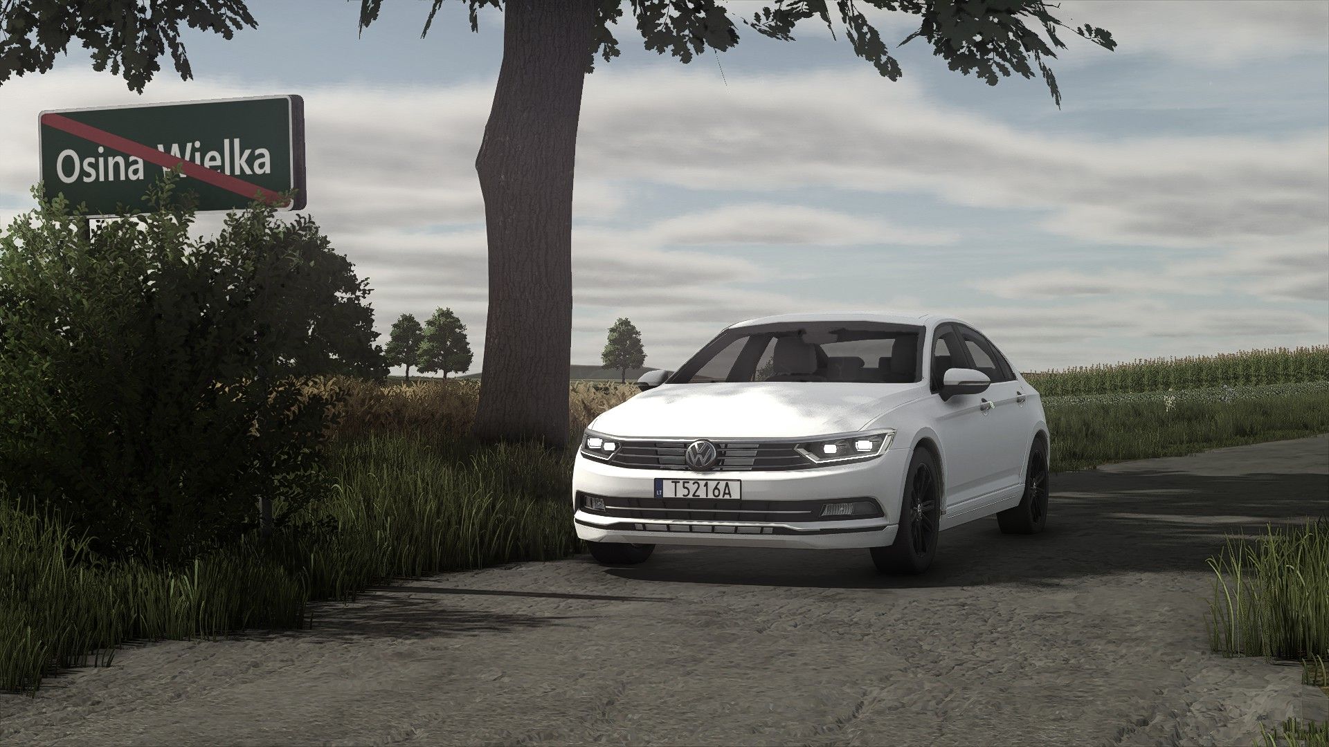Volkswagen Passat v1.0.0.4