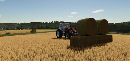 Bale Physics Stabilizer v1.0
