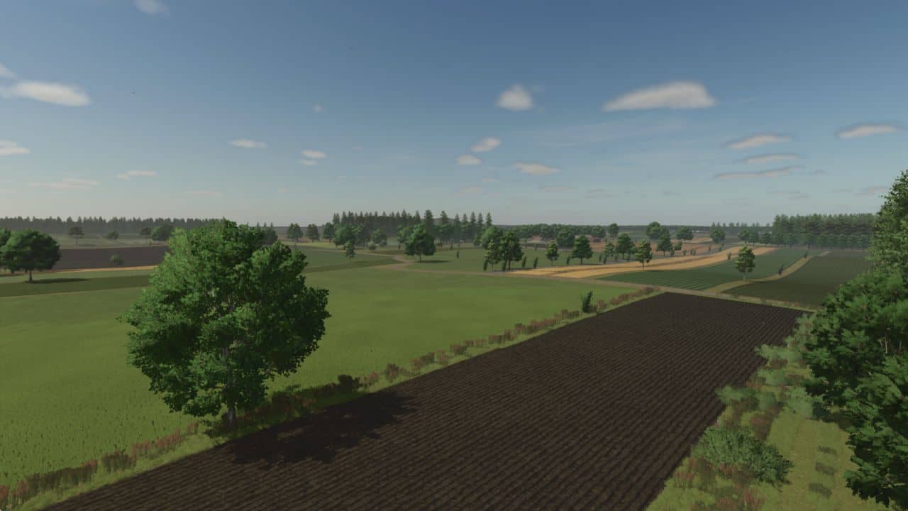 Borowiny BETA v1.0
