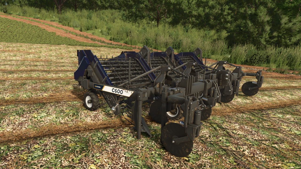 Colombo C600 v1.0