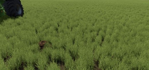 Dynamic Molehills v1.0.0.1