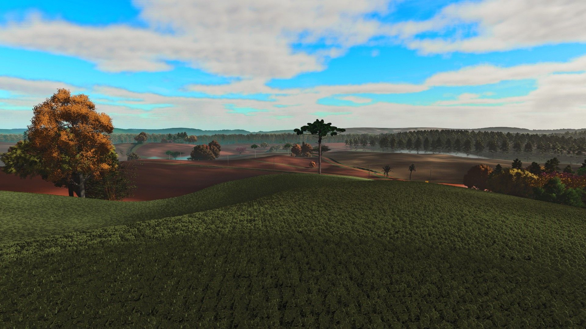 Fazenda Condor v2.0