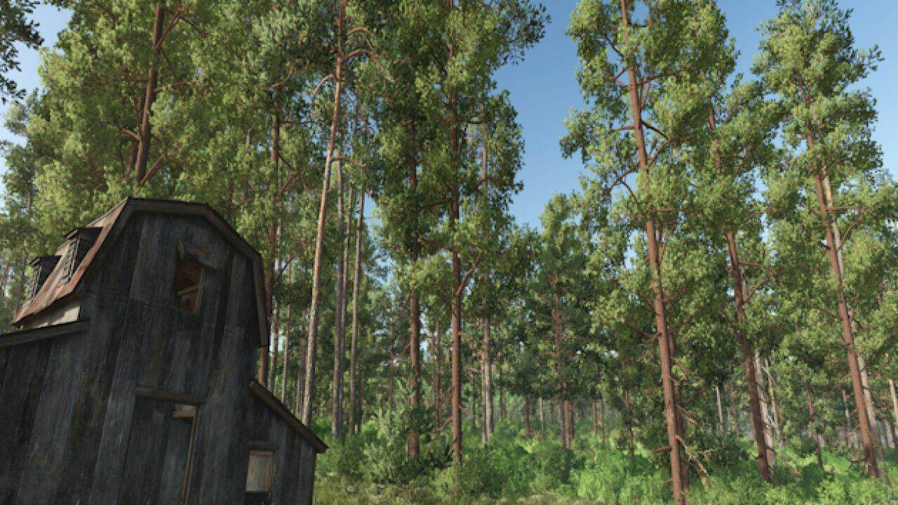Forest Converter v1.1