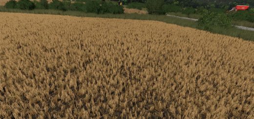 Realistic Stubble Tillage v1.0