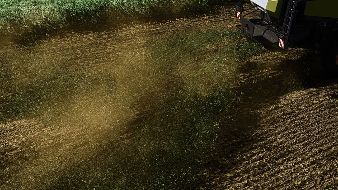 Faba Beans v1.0
