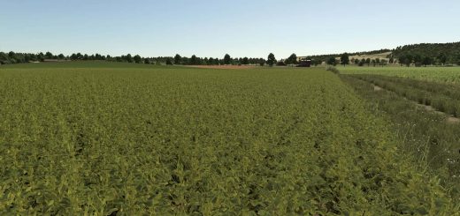 Improved Soybean Plants V1.0.0.1