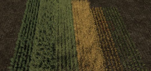 Row Seeding Barley, Oat, Wheat, Canola, Mulitfruit v1.3