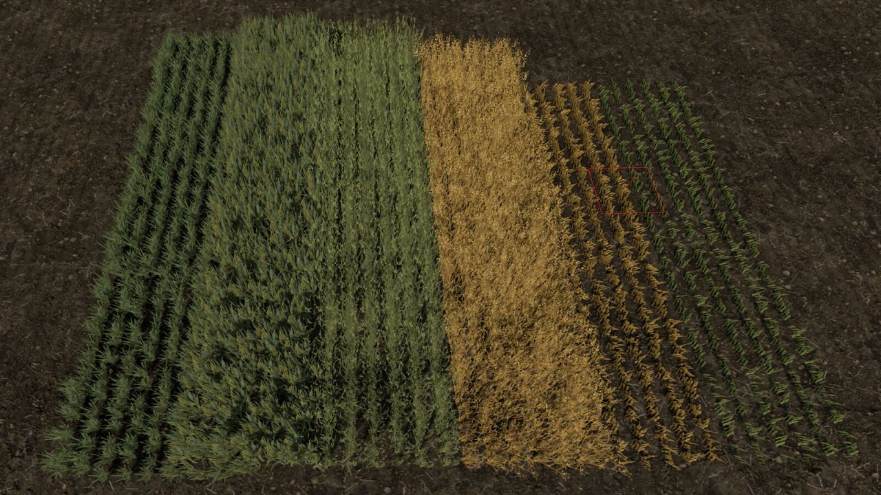 Row Seeding Barley, Oat, Wheat, Canola, Mulitfruit v1.3