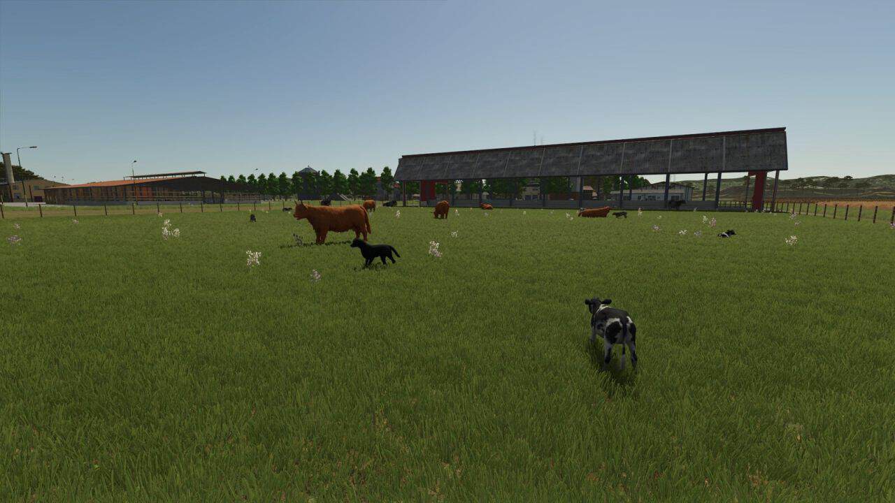 Storefront Stable Options For Husbandry v1.0